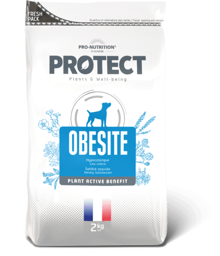 Pro Nutrition protect obesite canino 2 kg