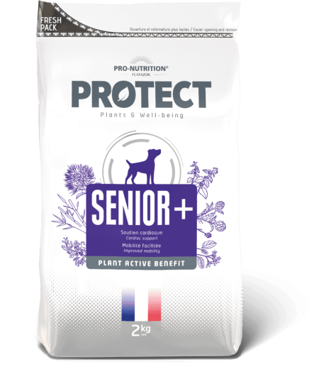 Pro Nutrition protect senior canino 2 kg