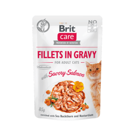 Brit care cat fillet in gravy with savory salmon 85 grs