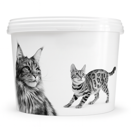 Promoción contenedor small alimento gato